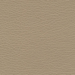 Spire-Nj # 1196 Edo by Maxwell Designer Fabric