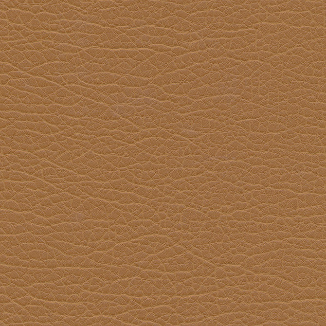 Spire-Nj # 1201 Farm by Maxwell Designer Fabric Memos Only-Coated Fabrics FACE: 100% PVC
BACKING: 100% POLYESTER VIETNAM 54" - Swanky Fabrics -