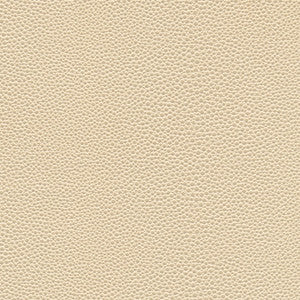 Stingray-Nj # 1067 Seashell by Maxwell Designer Fabric