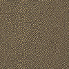 Stingray-Nj # 1069 Nautilus by Maxwell Designer Fabric