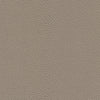 Stingray-Nj # 1070 Fin by Maxwell Designer Fabric