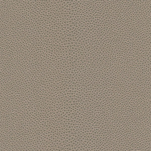 Stingray-Nj # 1070 Fin by Maxwell Designer Fabric