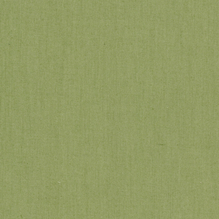 Snuggle 2 Clover by Aoc Fabric Aoc Fabric Snuggle 2 CloverFabric COMFORTABLE LIVING SAGE/MOSS 100%POL INDIA </p><p>Repeat: H: 0.000, V: 0.000 54 in - Fabric Carolina -