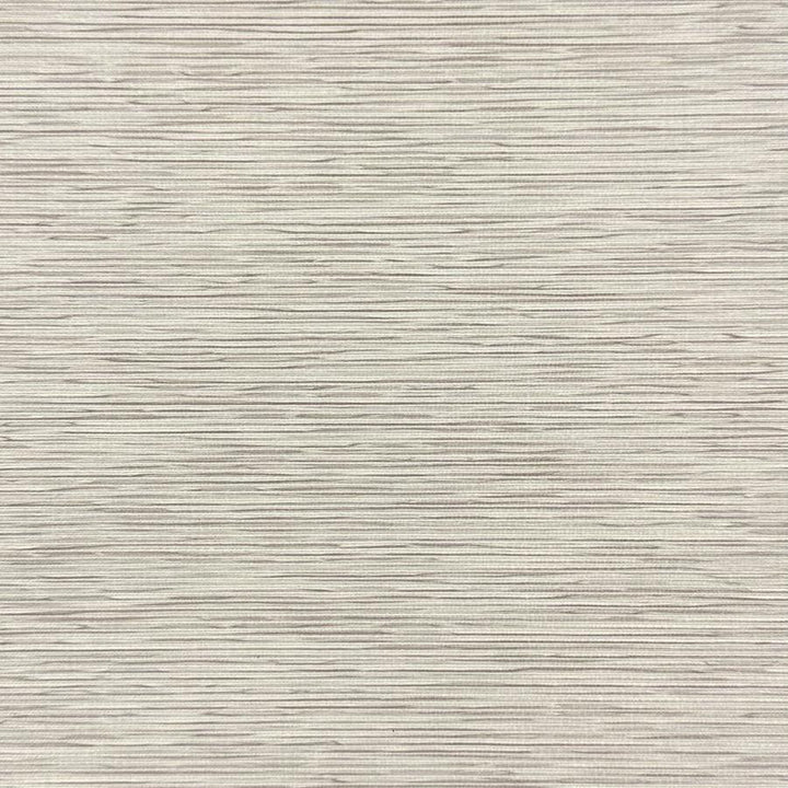 Scorpio # 211 Oyster by Maxwell Designer Fabric Blackout Iii FACE: 100% POLYESTER
BACKING: ACRYLIC CHINA 55" - Swanky Fabrics -
