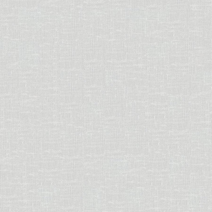 Sandro # 104 Winter by Maxwell Designer Fabric Wide Width Basics Ii 74% RECYCLED POLYESTER
26% LINEN INDIA 121" - Swanky Fabrics -