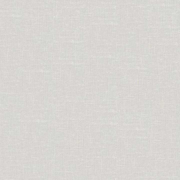 Sandro # 107 Angora by Maxwell Designer Fabric Wide Width Basics Ii 74% RECYCLED POLYESTER
26% LINEN INDIA 121" - Swanky Fabrics -