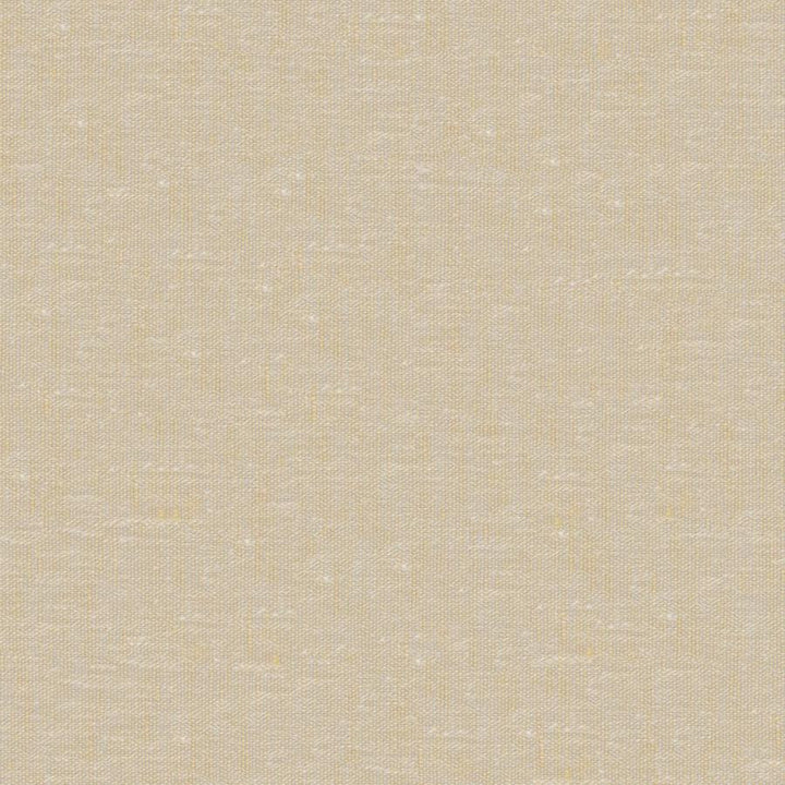 Sandro # 111 Melon by Maxwell Designer Fabric Wide Width Basics Ii 74% RECYCLED POLYESTER
26% LINEN INDIA 121" - Swanky Fabrics -