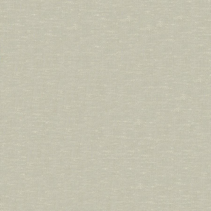 Sandro # 113 Pear by Maxwell Designer Fabric Wide Width Basics Ii 74% RECYCLED POLYESTER
26% LINEN INDIA 121" - Swanky Fabrics -