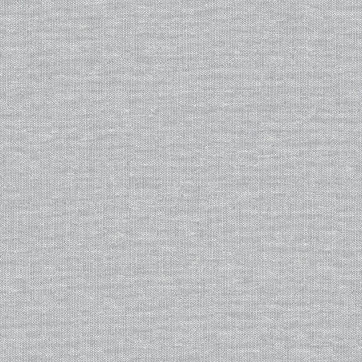 Sandro # 116 Sky by Maxwell Designer Fabric Wide Width Basics Ii 74% RECYCLED POLYESTER
26% LINEN INDIA 121" - Swanky Fabrics -