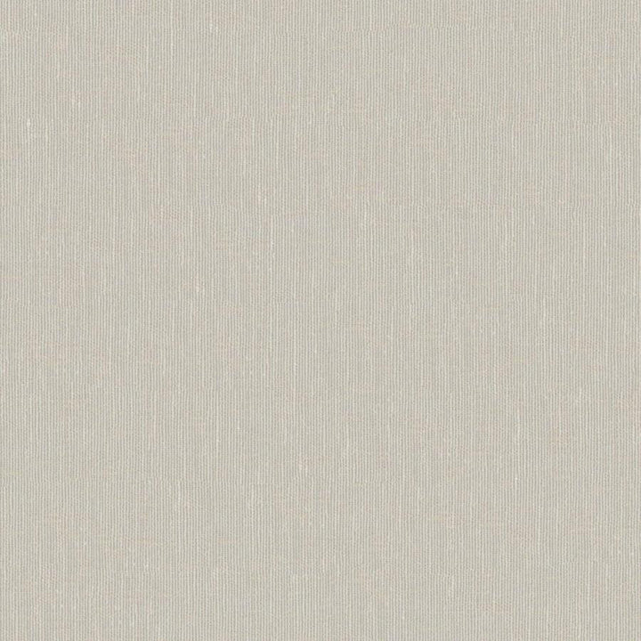 Sandro # 126 Desert by Maxwell Designer Fabric Wide Width Basics Ii 74% RECYCLED POLYESTER
26% LINEN INDIA 121" - Swanky Fabrics -
