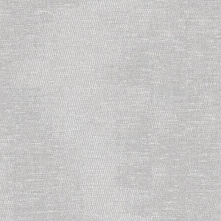 Sandro # 132 Pumice by Maxwell Designer Fabric Wide Width Basics Ii 74% RECYCLED POLYESTER
26% LINEN INDIA 121" - Swanky Fabrics -