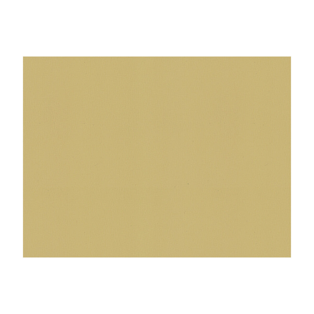 Sol Canvas by Kravet Contract Designer Fabric POLYURETHANE - 100% China HEAVY Horizontal: and Vertical: 54 - Swanky Fabrics -