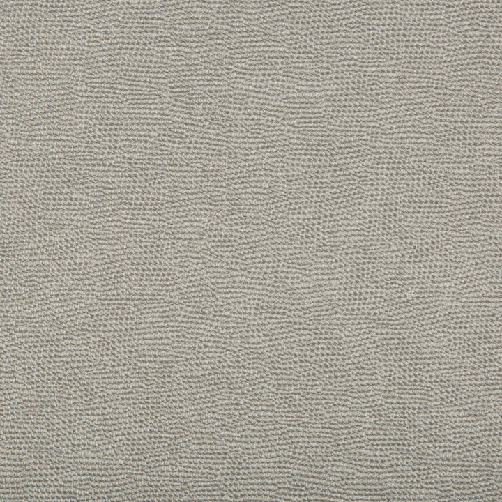 Spartan Pewter by Kravet Contract Fabric Kravet Contract Fabric Spartan PewterFabric FAUX LEATHER EXTREME PERFORMANCE PVC - ARTIFICIAL LEATHER - 88%;POLYESTER - 12% China </p><p>Repeat: H: , V: 54 - Fabric Carolina -