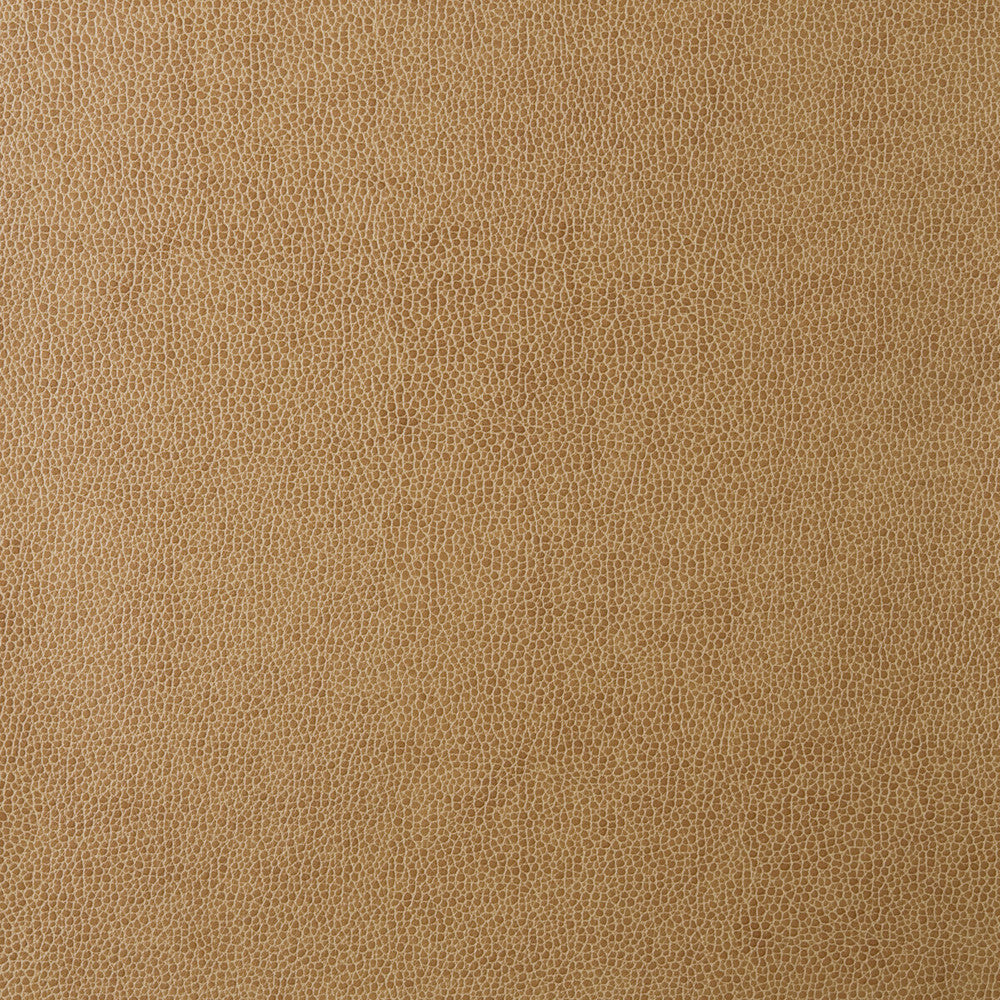 Sparta-16 by Kravet Design Designer Fabric POLYESTER - 55%;POLYURETHANE - 45% Korea, Republic of HEAVY Horizontal: 0 and Vertical: 0 54 - Swanky Fabrics -