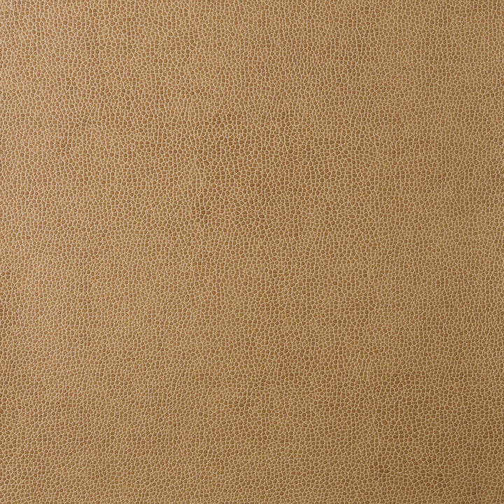 Sparta-16 by Kravet Design Designer Fabric - POLYESTER - 55%;POLYURETHANE - 45% Korea, Republic of HEAVY Horizontal: 0 and Vertical: 0 54 - Swanky Fabrics -
