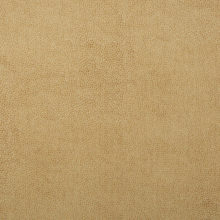Sparta-1 by Kravet Design Designer Fabric POLYESTER - 55%;POLYURETHANE - 45% Korea, Republic of HEAVY Horizontal: 0 and Vertical: 0 54 - Swanky Fabrics -