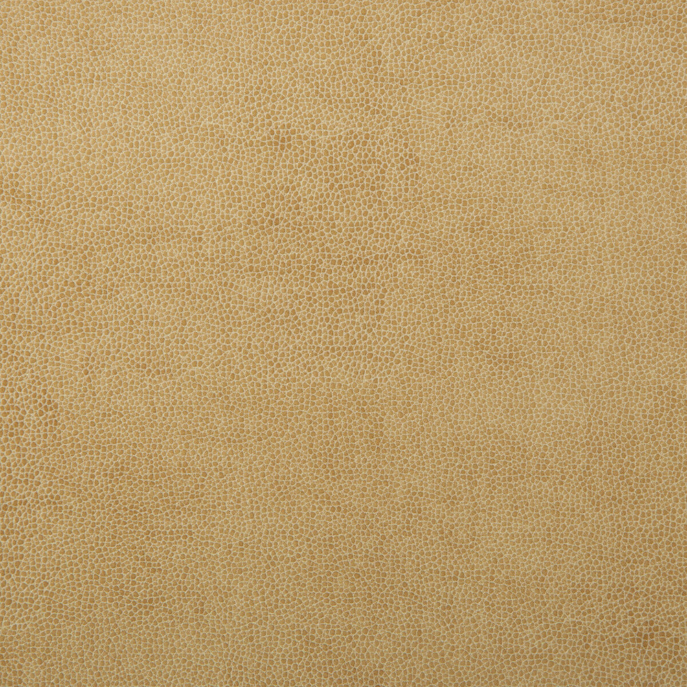 Sparta-1 by Kravet Design Designer Fabric - POLYESTER - 55%;POLYURETHANE - 45% Korea, Republic of HEAVY Horizontal: 0 and Vertical: 0 54 - Swanky Fabrics -