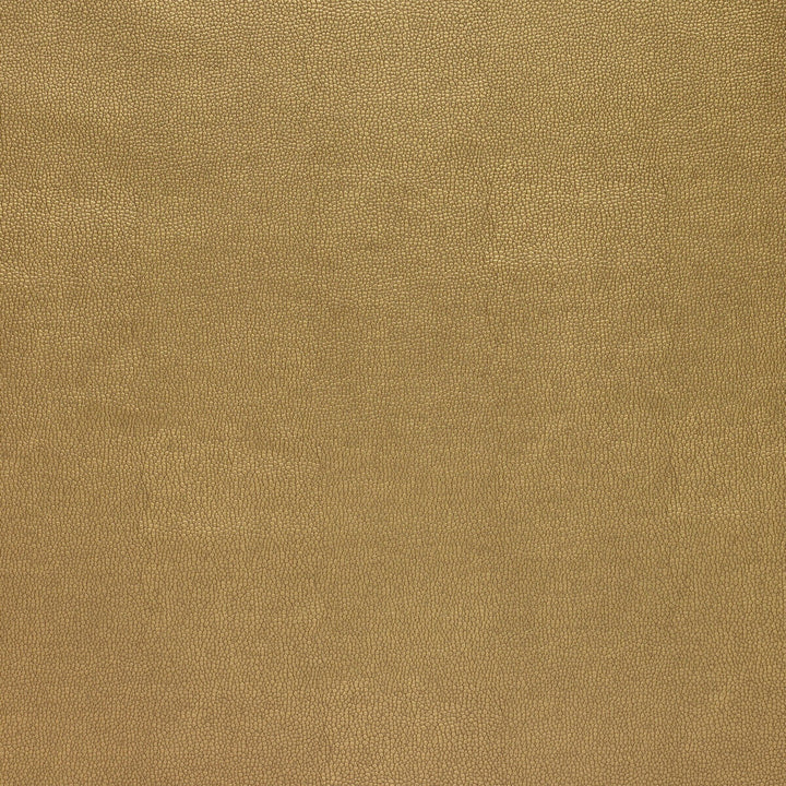 Sparta-404 by Kravet Design Designer Fabric POLYESTER - 55%;POLYURETHANE - 45% Korea, Republic of HEAVY Horizontal: 0 and Vertical: 0 54 - Swanky Fabrics -