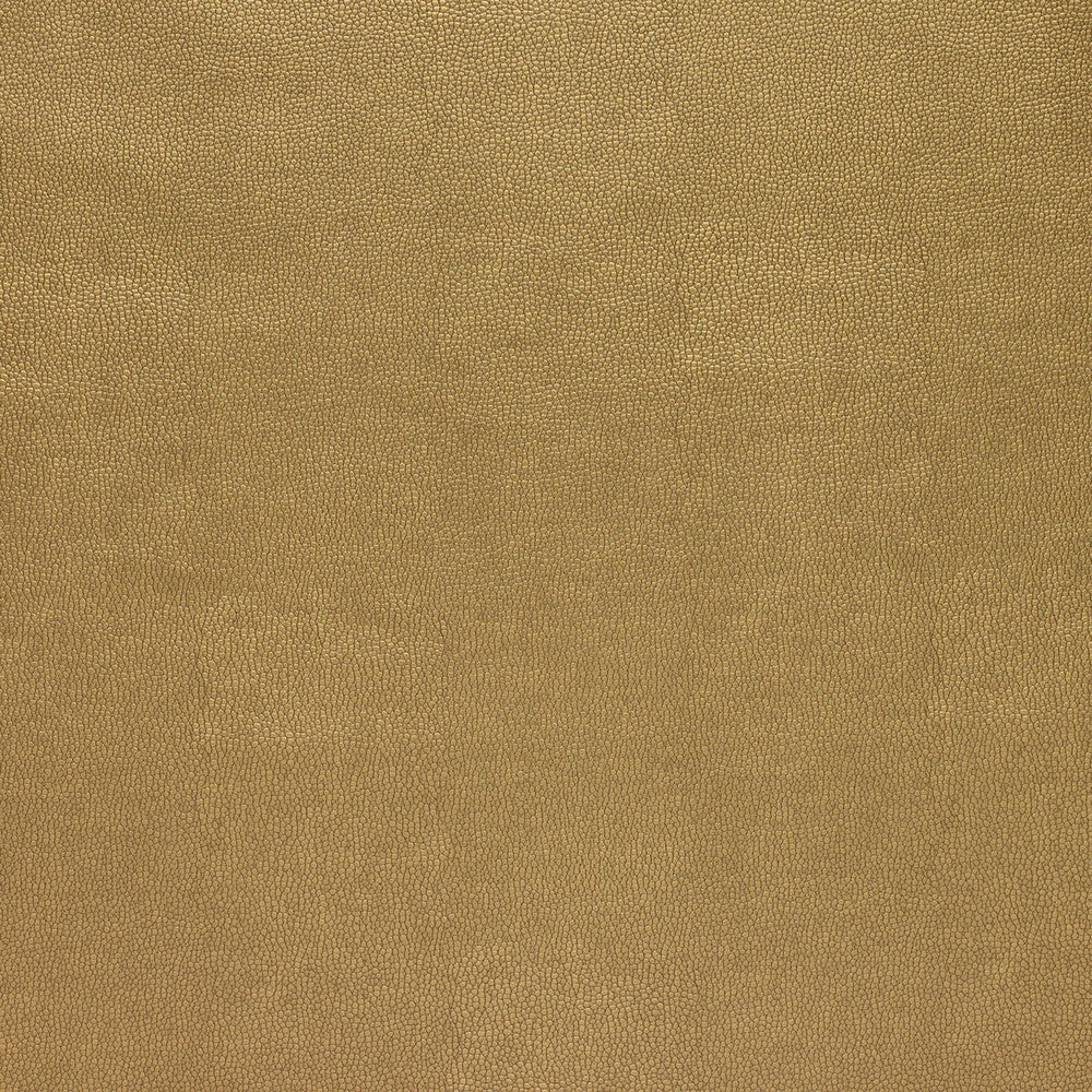 Sparta-404 by Kravet Design Designer Fabric - POLYESTER - 55%;POLYURETHANE - 45% Korea, Republic of HEAVY Horizontal: 0 and Vertical: 0 54 - Swanky Fabrics -