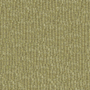 Updike 2009 Willow by ABBEYSHEA Designer Fabric