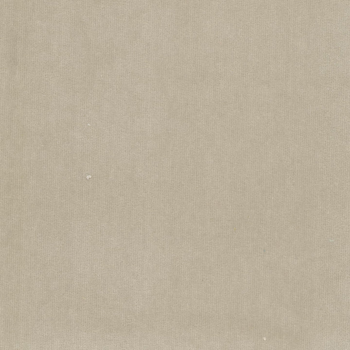 Spock 8 Birch by Stout Fabric Stout Fabric Spock 8 BirchFabric SOLID VELVETS PLUSH PALETTE 100%POL INDONESIA </p><p>Repeat: H: 0.000, V: 0.000 55 in - Fabric Carolina -