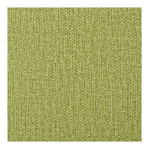 Spree Cactus SPREE.3.0 By Kravet Contract Designer Fabric