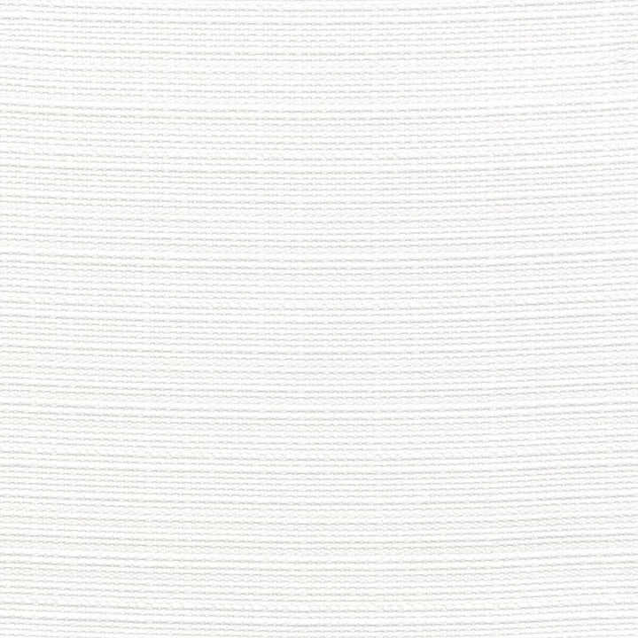 Spyro 2 White by Stout Designer Fabric COLOR MY WINDOW ALABASTER/PARCHMENT 100%POL CHINA WYZENBEEK 50 000 DOUBLE RUB WEAR TEST (HEAVY DUTY) Horizontal: 0 and Vertical: 0 57 in - Swanky Fabrics -