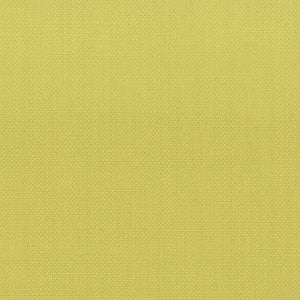 Stanford 10 Citrine by Stout Designer Fabric