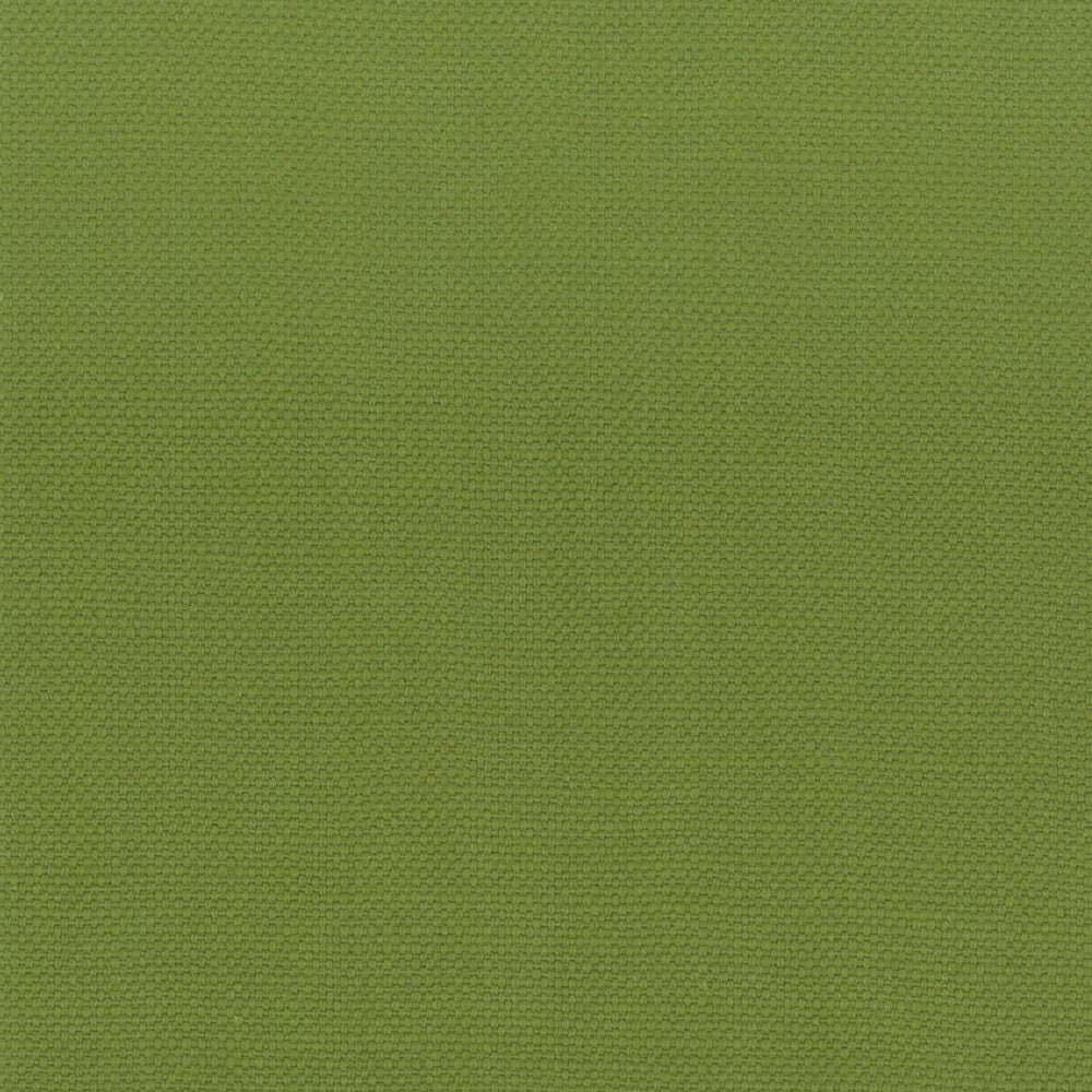 Stanford 14 Lime by Stout Fabric Stout Fabric Stanford 14 LimeFabric A LA MODE 100%COT INDIA </p><p>Repeat: H: 0.000, V: 0.000 54 in - Fabric Carolina -