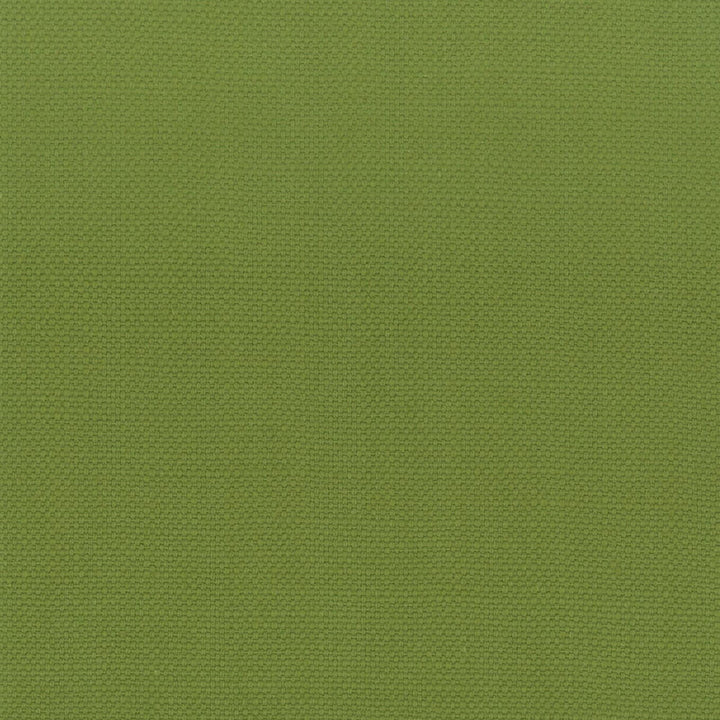 Stanford 14 Lime by Stout Designer Fabric A LA MODE 100%COT INDIA Horizontal: 0 and Vertical: 0 54 in - Swanky Fabrics -