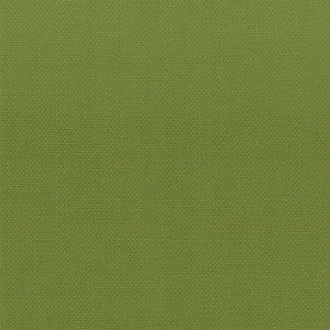 Stanford 14 Lime by Stout Designer Fabric