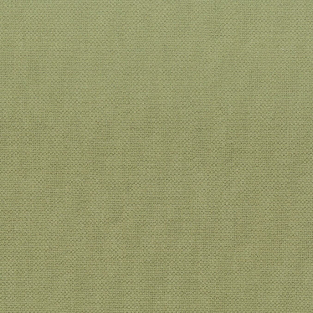 Stanford 1 Pistachio by Stout Designer Fabric A LA MODE 100%COT INDIA Horizontal: 0 and Vertical: 0 54 in - Swanky Fabrics -