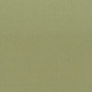 Stanford 1 Pistachio by Stout Designer Fabric