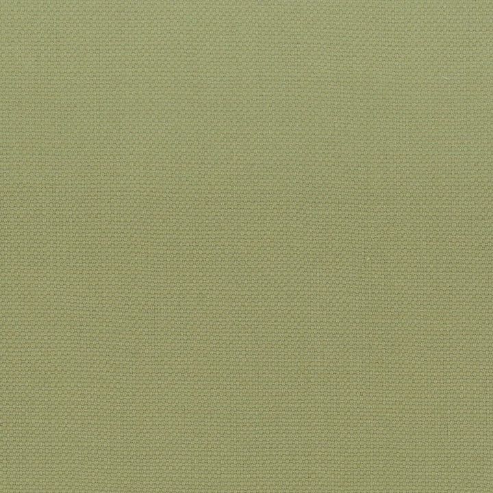 Stanford 1 Pistachio by Stout Fabric Stout Fabric Stanford 1 PistachioFabric A LA MODE 100%COT INDIA </p><p>Repeat: H: 0.000, V: 0.000 54 in - Fabric Carolina -