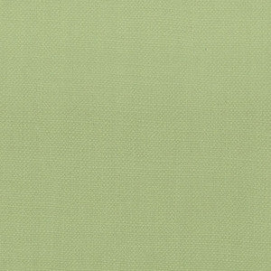 Stanford 22 Pear by Stout Designer Fabric