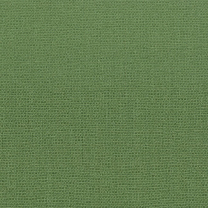 Stanford 27 Grass by Stout Designer Fabric A LA MODE 100%COT INDIA Horizontal: 0.000 and Vertical: 0.000 54 in - Swanky Fabrics -