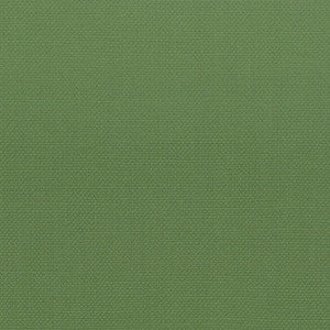 Stanford 27 Grass by Stout Designer Fabric