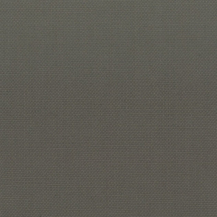 Stanford 53 Shadow by Stout Fabric Stout Fabric Stanford 53 ShadowFabric A LA MODE 100%COT INDIA </p><p>Repeat: H: 0.000, V: 0.000 54 in - Fabric Carolina -