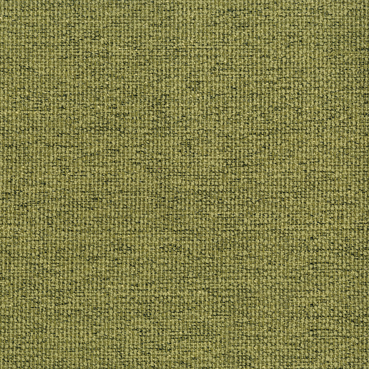 Northern 205 Pistachio by ABBEYSHEA Designer Fabric 100% Polyester China 35,000 Double Rubs (Wyzenbeek) </p><p>Repeat: Horizontal: and Vertical: 54" (137 cm) - Swanky Fabrics -