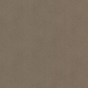 Steeplechase 1 Putty by Stout Designer Fabric