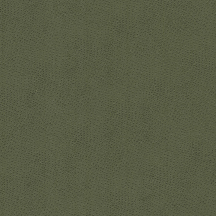 Steeplechase 2 Dill by Stout Fabric Stout Fabric Steeplechase 2 DillFabric LEATHER LOOKS V 100%POU 1%OTH KOREA </p><p>Repeat: H: 0.000, V: 0.000 54 in - Fabric Carolina -