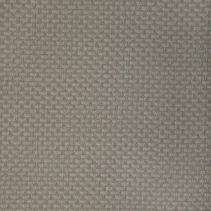 Stein Porcini STEIN.11.0 By Kravet Contract Designer Fabric