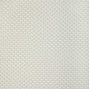Stein Birch STEIN.1.0 By Kravet Contract Designer Fabric