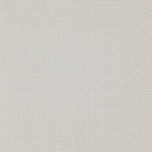 Stern 32J7391 by JF Designer Fabric