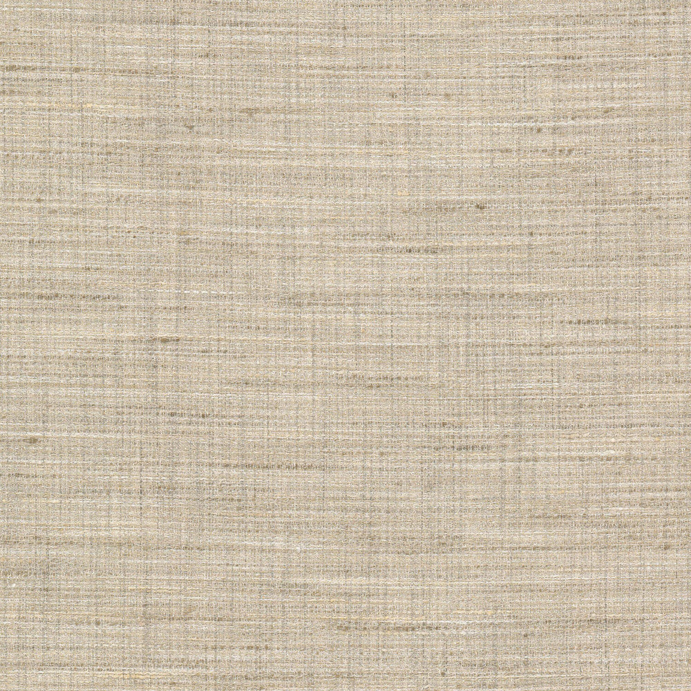 Stopper 1 Champagne by Stout Fabric Stout Fabric Stopper 1 ChampagneFabric RAINBOW LIBRARY SANDUNE/DESERT 100%POL INDIA </p><p>Repeat: H: 0.000, V: 0.000 55 in - Fabric Carolina -