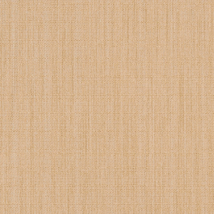 Strathroy 11J7031 by JF Crypton Designer Fabric Crypton Binder 100% Polyester Taiwan 50000 Horizontal: and Vertical: 54 - Swanky Fabrics -