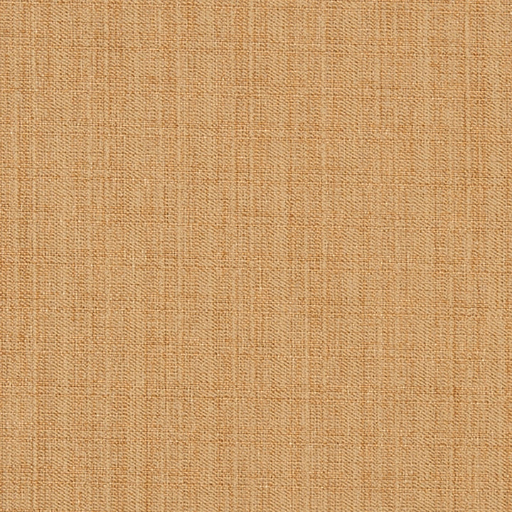 Strathroy 17J7031 by JF Crypton Designer Fabric Crypton Binder 100% Polyester Taiwan 50000 Horizontal: and Vertical: 54 - Swanky Fabrics -