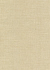 Sudan Beige 38 by Norbar Designer Fabric