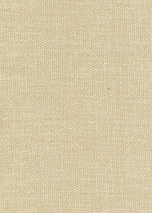 Sudan Beige 38 by Norbar Designer Fabric