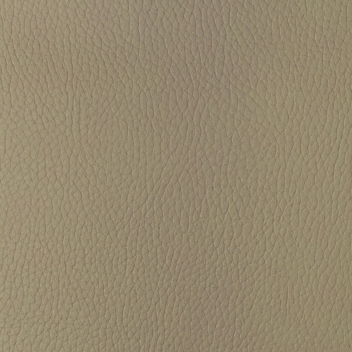 Kravet Design Sugarmaple-16 by Kravet Design Fabric Kravet Design Fabric Kravet Design Sugarmaple-16Fabric POLYCARBONATE - 100% Japan </p><p>Repeat: H: 0, V: 0 54 - Fabric Carolina -
